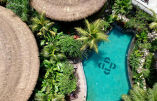 Одноместный номер Deluxe с видом на бассейн