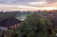 Одноместный люкс Пентхаус