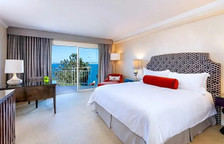 Двухместный люкс Presidential