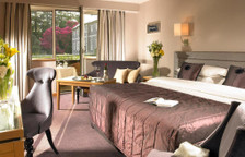 Двухместный номер Deluxe