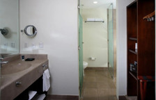 Двухместный номер Standard с балконом и с видом на город