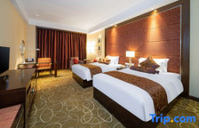 Двухместный номер Executive