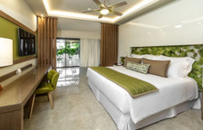 Полулюкс Premium Tropical View