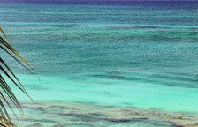 Полулюкс с балконом и oceanfront