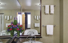 Двухместный люкс Presidential