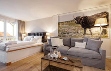 Одноместный семейный номер Standard