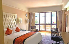 Двухместный номер Premier с балконом