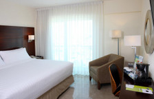 Двухместный номер Standard с балконом и с видом на город