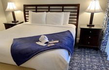 Двухместный полулюкс