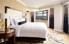 Люкс Executive c 1 комнатой с видом на город