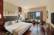 Двухместный номер Hyatt с видом на бассейн