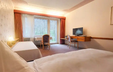 Двухместный номер Economy