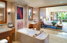 Двухместный люкс Tropical