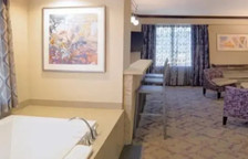 Двухместный Spa Suite c 1 комнатой