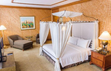 Двухместный люкс Aryaduta