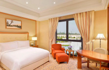 Двухместный Club Lounge Access номер Guest