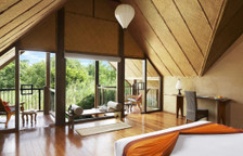 Dwelling Forest