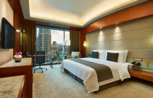 Двухместный номер Premier with skyline view