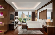 Двухместный люкс Executive Lounge Access c 1 комнатой