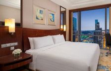Двухместный номер Premier with City View Skyline