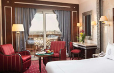 Двухместный номер Royal Club с видом на город