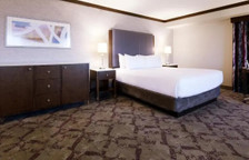 Spa Suite Player