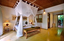 Villa Nandini 2 Bedrooms