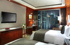 Двухместный номер Premier with skyline view