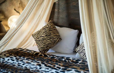 Двухместный Room Standard Cave