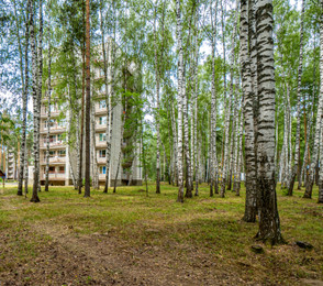 Санаторий «Русский лес», фото 20