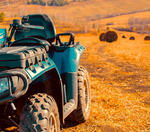 Altai Palace, фото 131