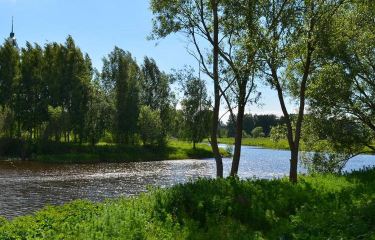 Диево Городище Ярославль Фото