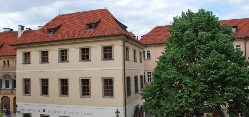 Hotel Metamorphis