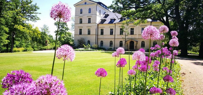 Chateau Mcely