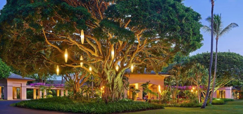 The Ritz-Carlton Maui, Kapalua