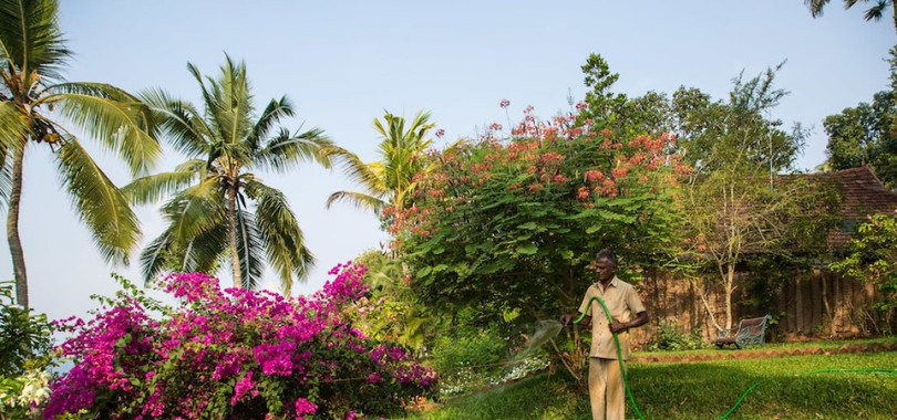 Somatheeram Ayurveda Village