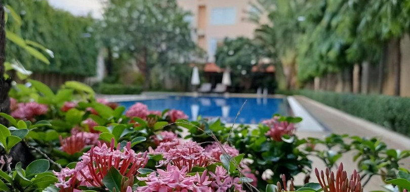 Starry Angkor Hotel