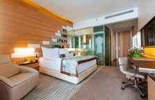 Делюкс с видом на сад (одна кровать)