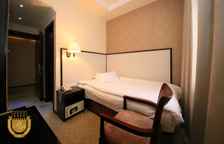 Одноместный номер Standard