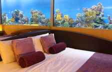 Одноместный номер Standard с видом на парк