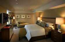 Одноместный клубный люкс