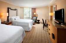 Четырёхместный номер Tower No Balcony с видом на город