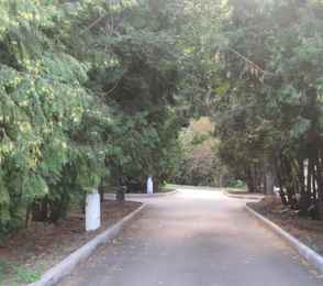 Санаторий «Бобачевская роща», фото 5