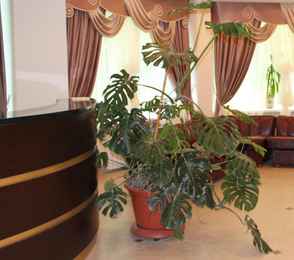 Санаторий «Бобачевская роща», фото 13