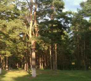 Санаторий «Бобачевская роща», фото 20