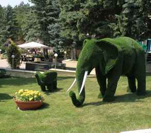 Cанаторий «Пятигорский Нарзан», фото 4