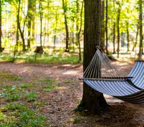 Курорт «Красная Пахра», фото 36