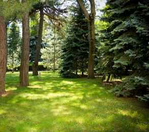 Санаторий «Родник», фото 17