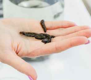 Санаторий «Родник», фото 32