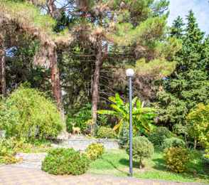 Пансионат «Гренада», фото 4